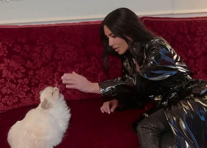 Bianca Censori Makes Heads Turn Again In Miami, Wearing A Tiny Silver String Ensemble With A Fake Cat Bianca Censori Makes Heads Turn Again In Miami, Wearing A Tiny Silver String Ensemble With A Fake Cat