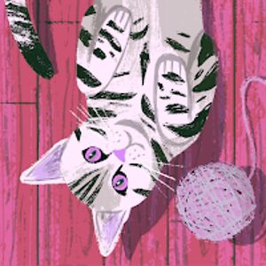 jaylamciverstudent avatar