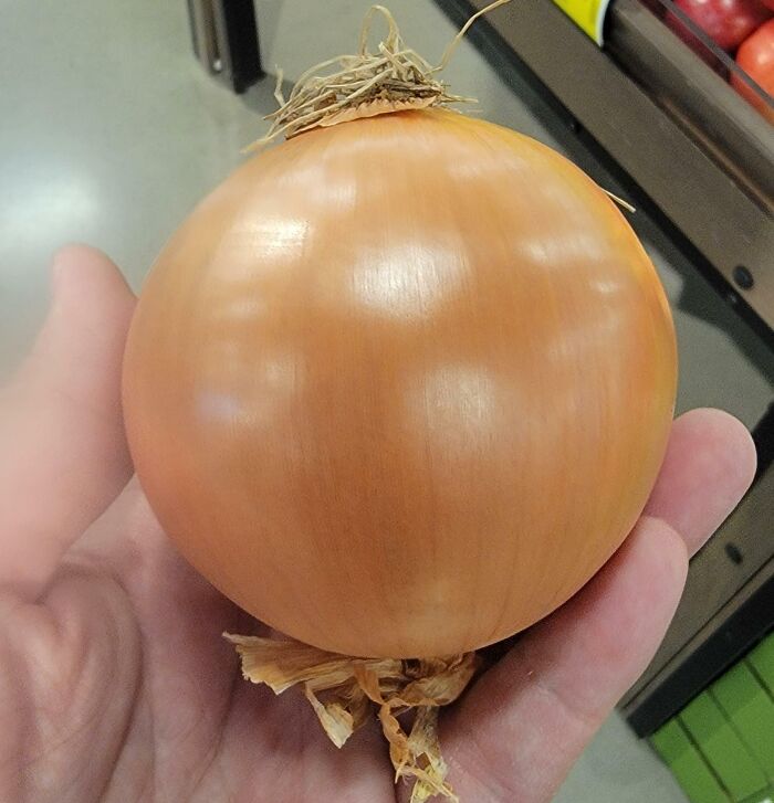 This Flawless Yellow Onion