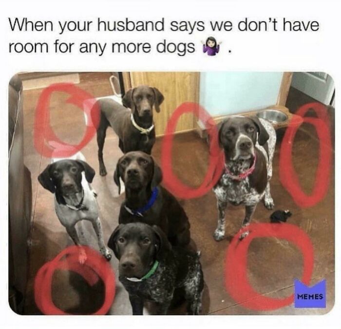 Husbands Are Blind