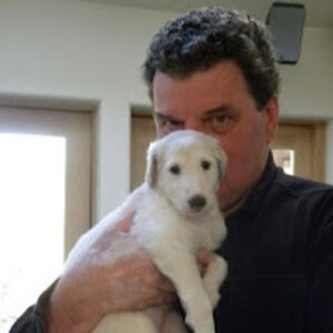 jamesfalkener avatar