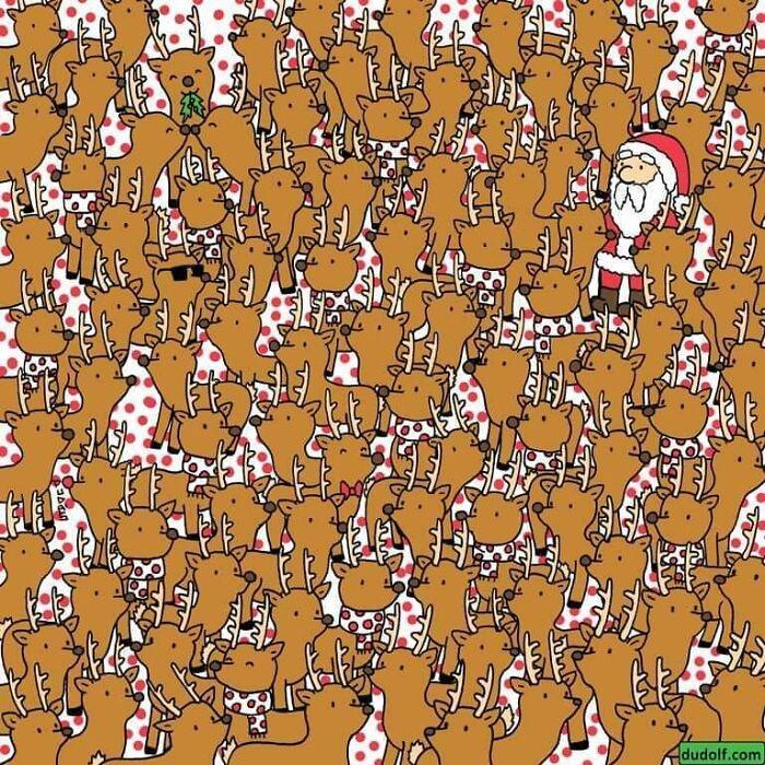 Find Rudolph For Santa