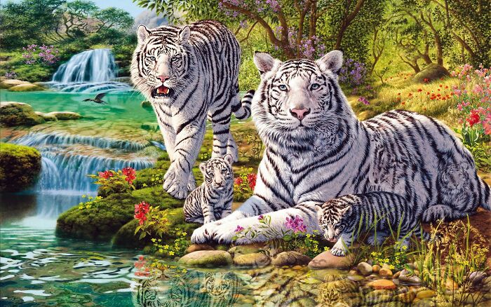 Can You Find 17 Tigers Or More?