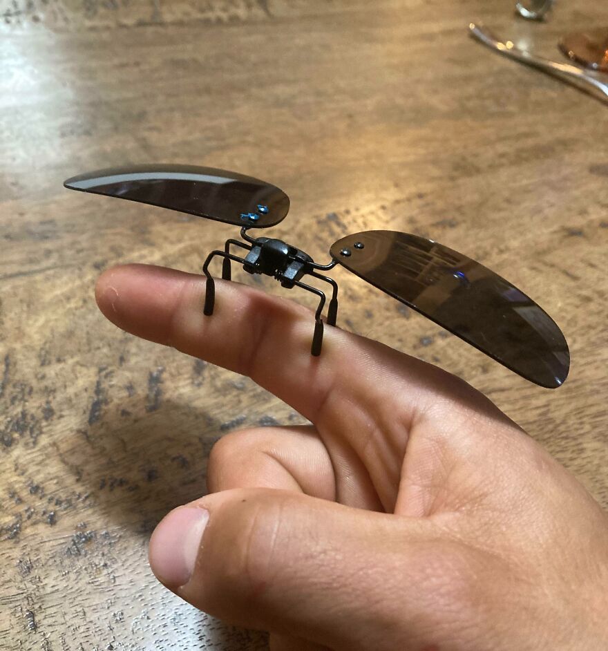 My Clip On My Sunglasses Looks Like An Insect