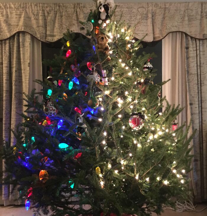 Christmas Tree Decorated In Different Styles