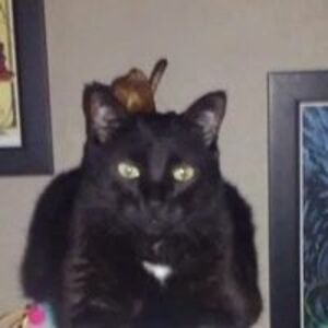 soakupthesun2715 avatar