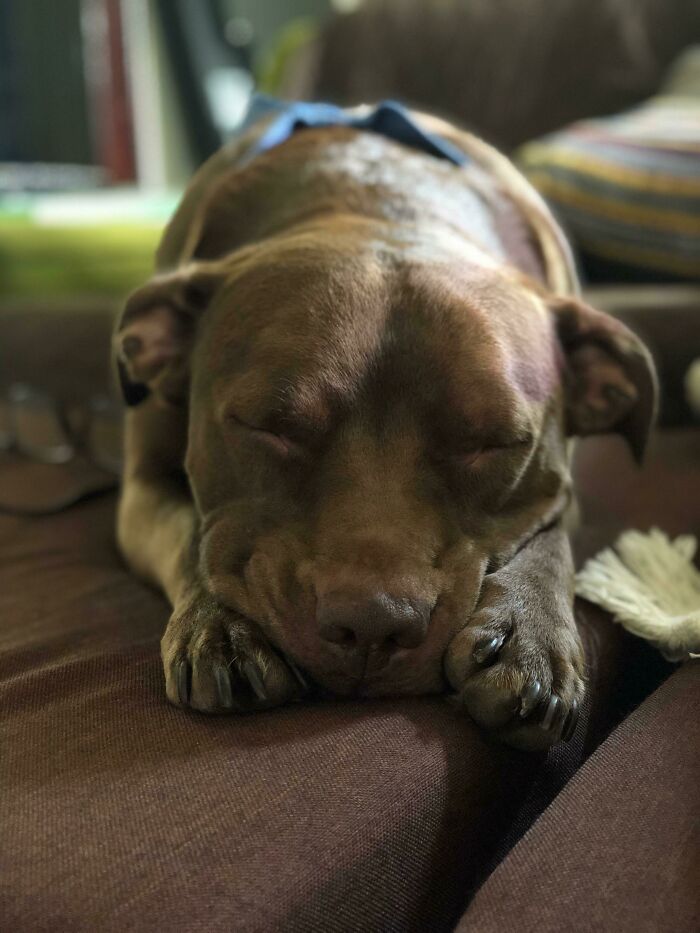 My Baby Boy Snoozing