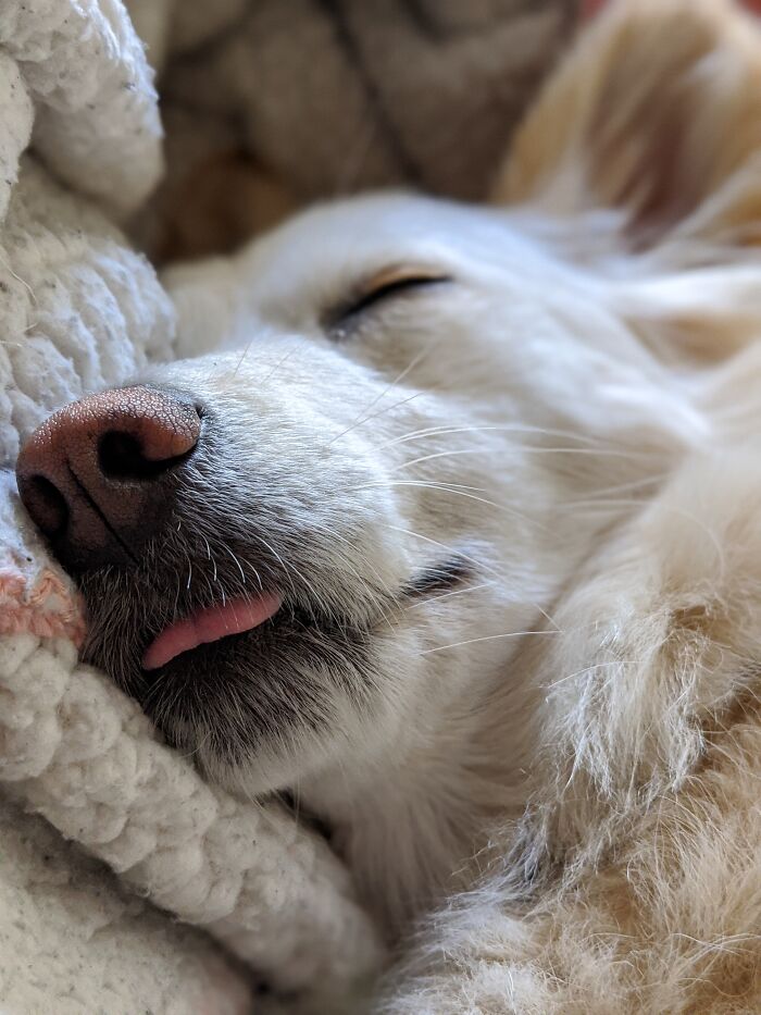 First Time Seeing Peepa With Her Tongue Out While Sleeping