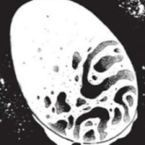 zenokockelman avatar