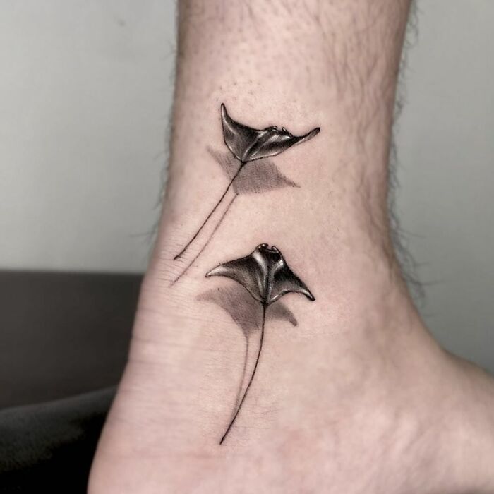 You Received A Manta Ray Swimming On Your Ankle