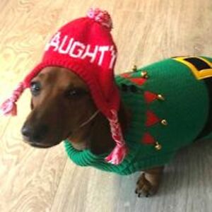 jennifer_malcolm avatar