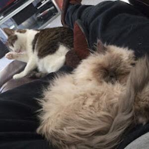 victormasliah avatar