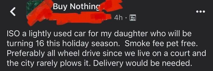Asking For A Literal Car In A Buy Nothing Group