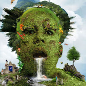 donastrialyons avatar