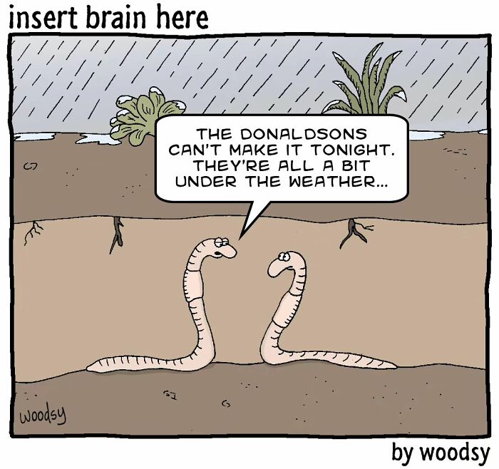 New Absurd Humor Single Panel Comics From The “Insert Brain Here” Strip By Paul Woods