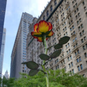 l_c_greeniamstonecandle avatar