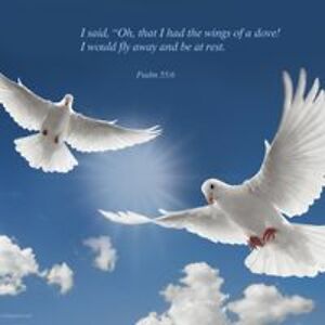 heavensgates575 avatar