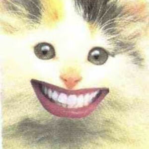 christopherhoyt avatar