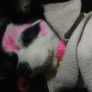 nangayethutamoe avatar