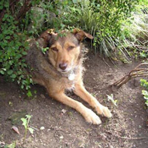 sarahhomatidis avatar