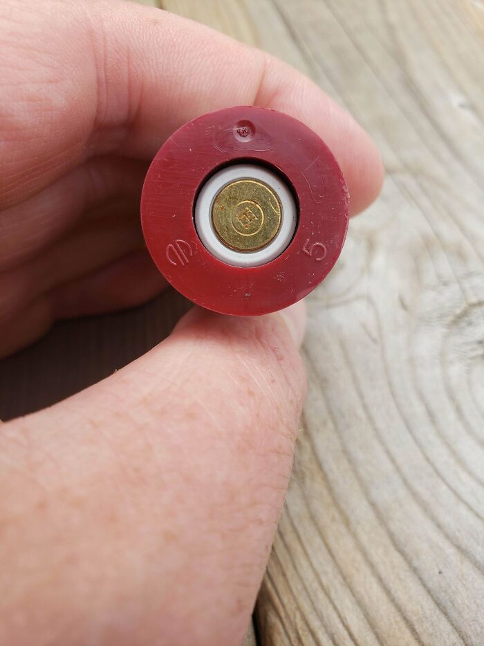Dog Found This In My Backyard. I'm In A Largely Residential Neighborhood. Its Hard Plastic Not Soft Like A Shotgun Shell. Bottom Only Has That Small Piece Of Metal Not The Whole End. About 2.5inch Long