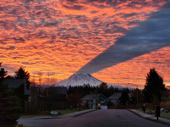 Mt. Rainier