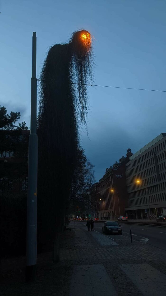 Welp, This Street Lamp Looks Absolutely Terrifying