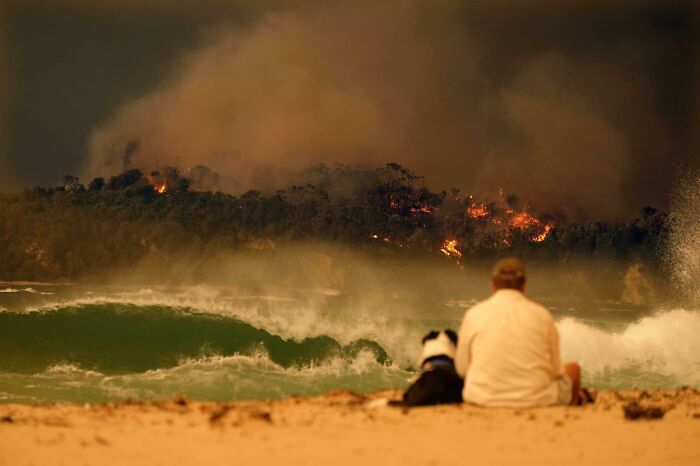 A Man And His Dog During The Australian Wildfires