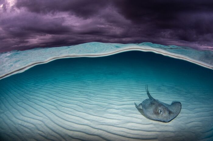 The Beauty Of Nature, Honorable Mention: Calm Beneath A Stormy Sky By Catherine Holmes