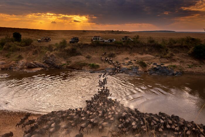 Journeys & Adventures, Honorable Mention: Great Migration By Roie Galitz