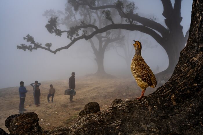 Journeys & Adventures, Honorable Mention: Nature's Call By Navin Kumar
