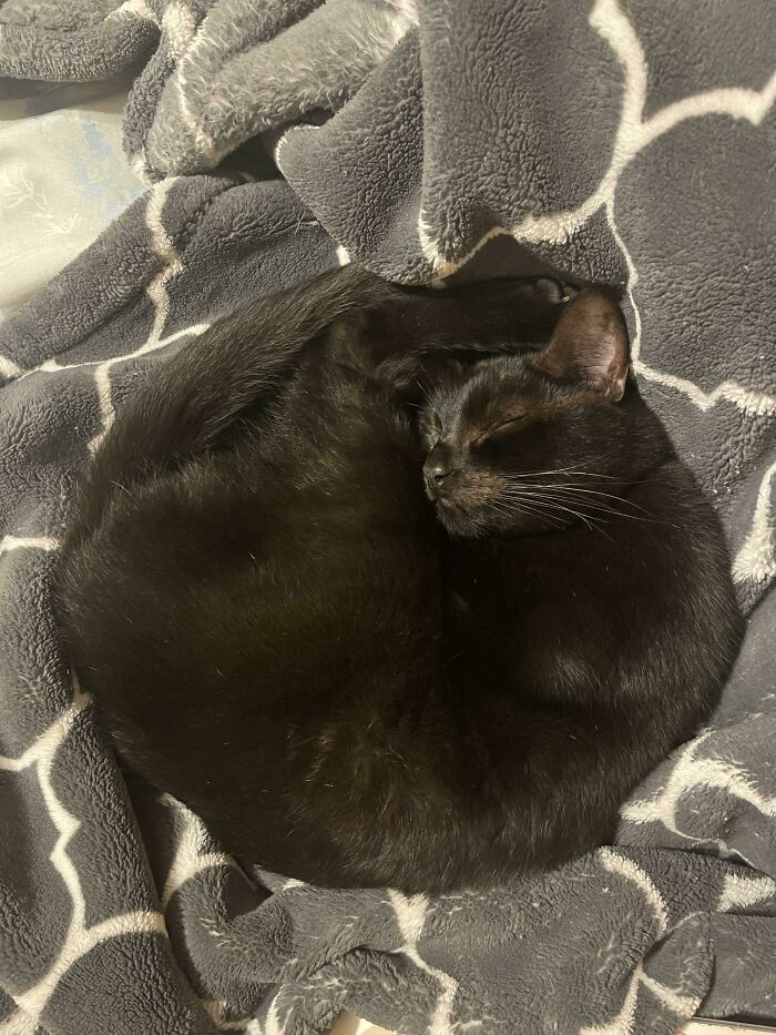Perfectly Round And In The Center Of My Bed…