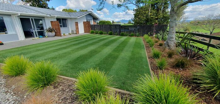 Perfectly cut grass in the backyard 