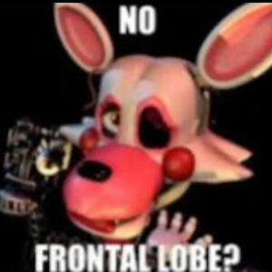 dominicbowser avatar