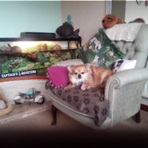 susanjackson_1 avatar