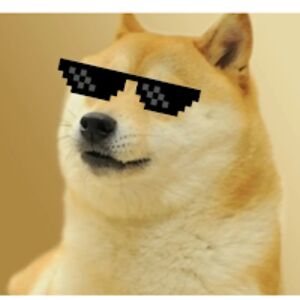 harleighjeremiahpierreharley avatar