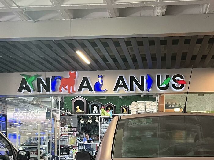 To Make A Cool Sign For Your Pet Store