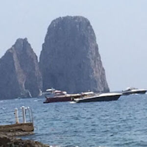 isabellafortunatoassis avatar