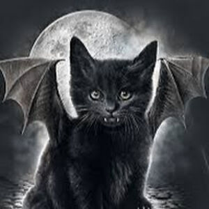 shannonbenavidez avatar