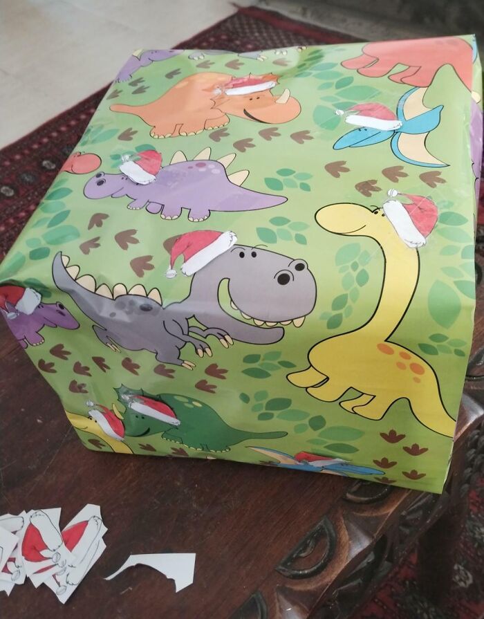 Mom Said The Dinosaur Wrapping Paper Wasn't Christmassy Enough For My Secret Santa, So Now I'm Putting Santa Hats On Them