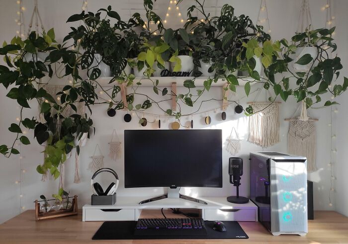 How About Replacing LEDs With Plants?