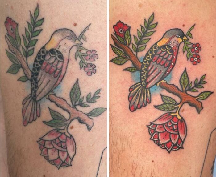 2 Months Apart. On The Left, Done For Very Cheap Price - Took 2 Sessions, 10 Hours Total