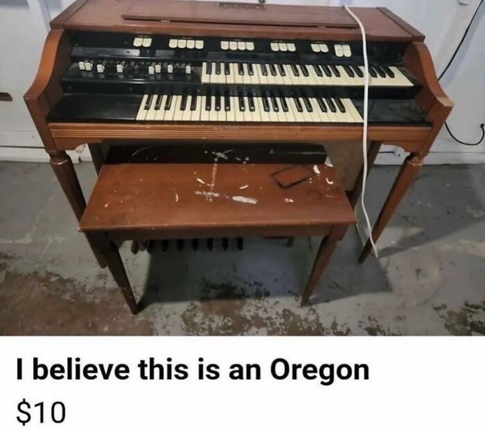 I Believe This Is An Oregon
