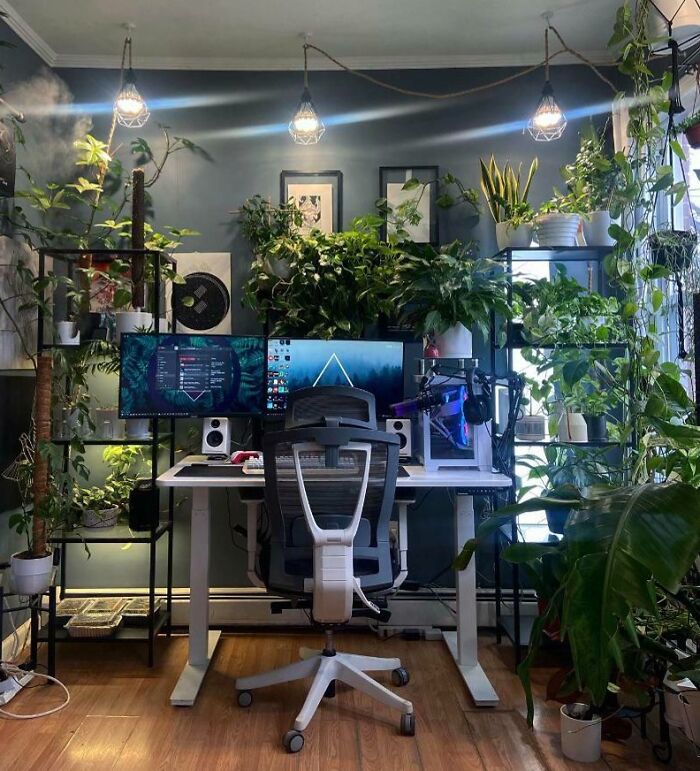 Two Of My Hobbies In One Room: Gaming And Plants