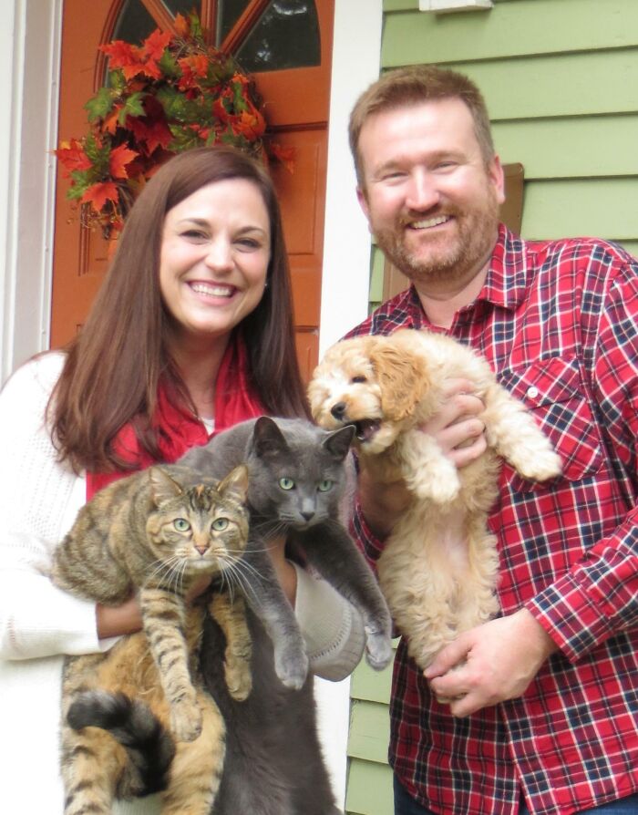 Got The Family Together For A Christmas Photo. Only 33% Of The Animals In The Photo Are Enjoying Themselves