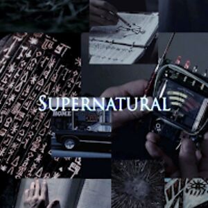 taylorrogers_1 avatar