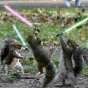 abrahamrivera avatar