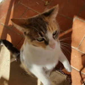 theresavanderwesthuizen_1 avatar