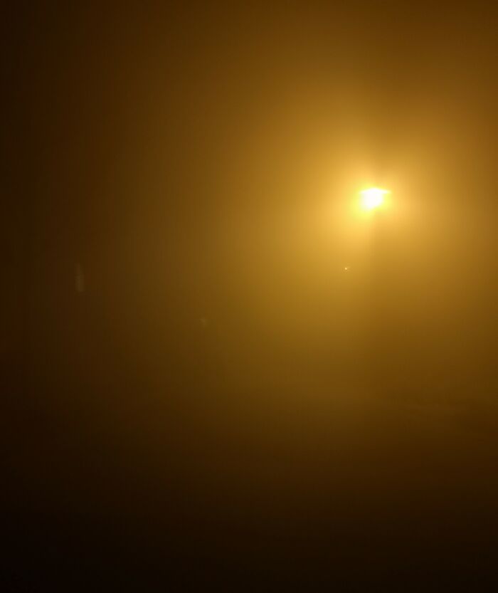At Midnight On New Year's Eve, We Had The Thickest Fog In Years. My Kids Are In This Picture, Less Than 30 Ft Away
