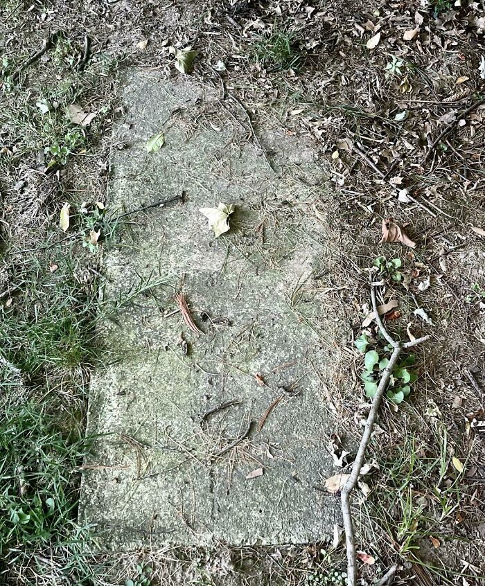 I Think I Found A Grave In My Backyard